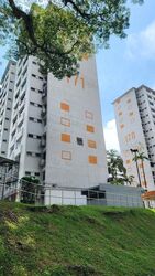 Blk 171 Stirling View (Queenstown), HDB 3 Rooms #504593711